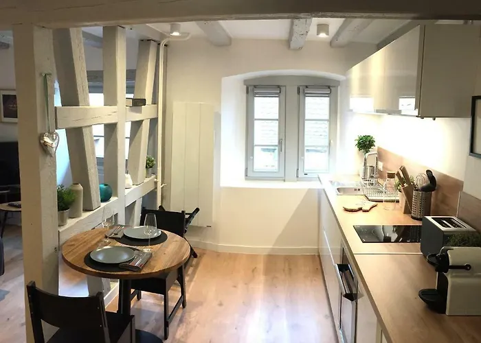 Appartement Le 1586 - Centre Historique Colmar
